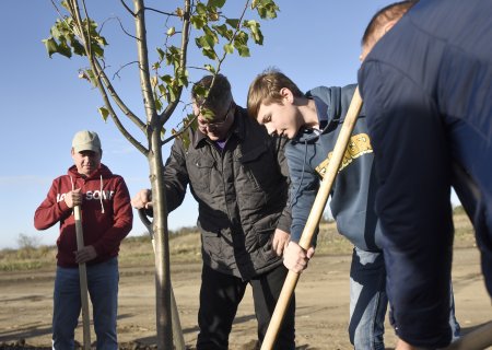 Владимир Владимиров принял участие в высадке деревьев в краевом центре
