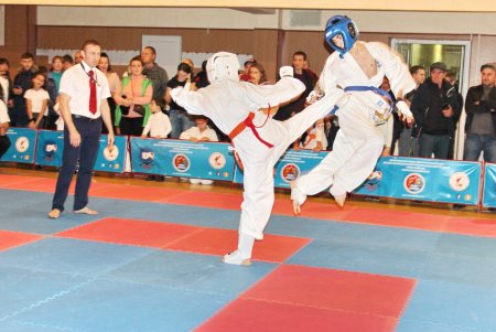 В Минеральных Водах прошли соревнования по Всестилевому каратэ «Кубок Кавказа»