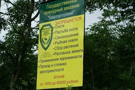 Владимир Владимиров: Нацпроект "Экология" помогает повышать противопожарную защищённость лесов Ставрополья
