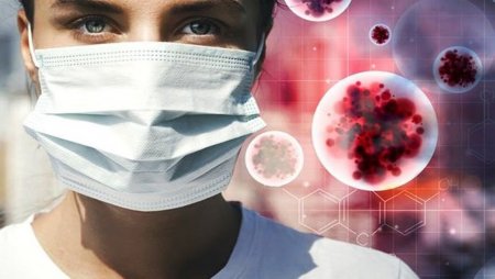 Ученые-вирусологи выяснили самый вероятный путь передачи коронавируса