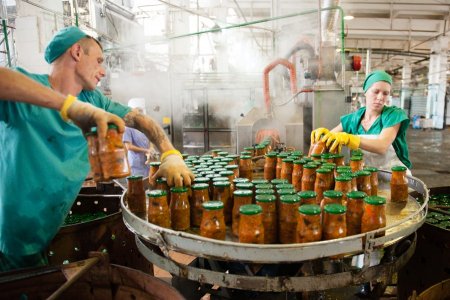 На Ставрополье завод выпустил уже более полумиллиона банок консервированных кабачков