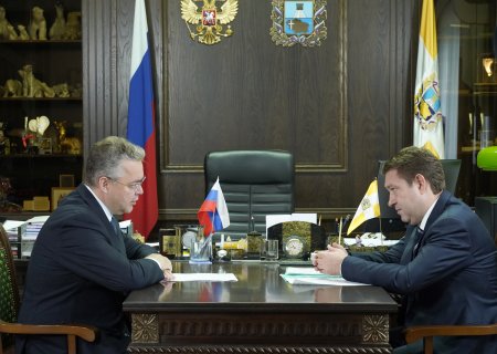 Губернатор Владимиров обсудил вопросы развития здравоохранения с профильным краевым министром Колесниковым