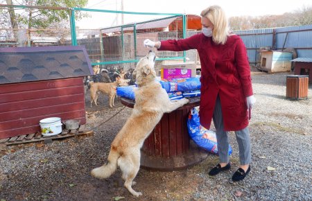 Ольга Тимофеева привезла корм в ставропольские приюты для животных