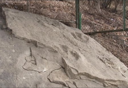 На Ставрополье прогулки с динозаврами пользуются огромной популярностью
