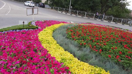 В Ессентуках готовится к посадке почти 120 тысяч первоцветов