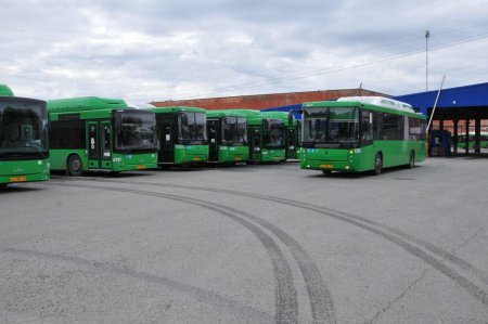 36 новых автобусов закупили для перевозки ставропольских дачников