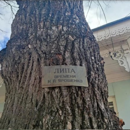 Кисловодск присоединился к акции "Мемориальные деревья России"