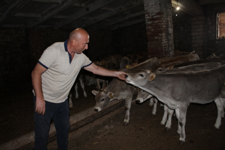 В Степновском округе активно развивают молочное животноводство