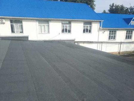В Минеральных Водах выпускник отремонтировал крышу своей школы