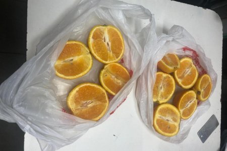 На Кубани служебная собака обнаружила наркотики в посылке с апельсинами