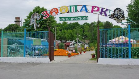 Нальчикский зоопарк получил лицензию Россельхознадзора