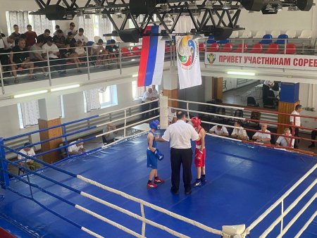 В Предгорном районе Ставрополья стартовали соревнования по боксу