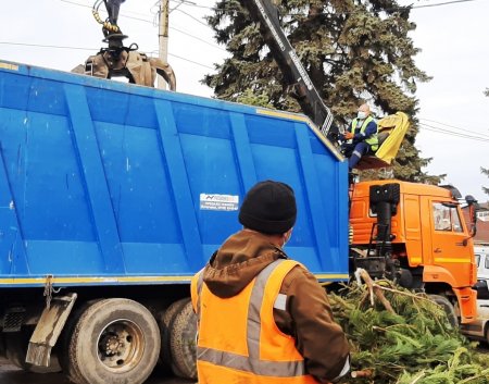 Ставропольские коммунальщики рассказали, как правильно утилизировать елку