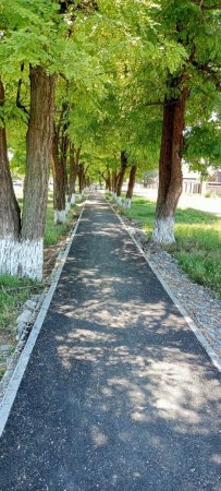 В хуторе Пролетарском Курского округа обустроили новый тротуар