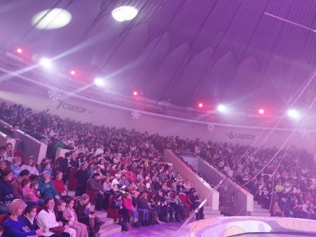 Более полутора тысяч детей из семей мобилизованных региона КМВ пришли на новогоднее представление в Кисловодском цирке