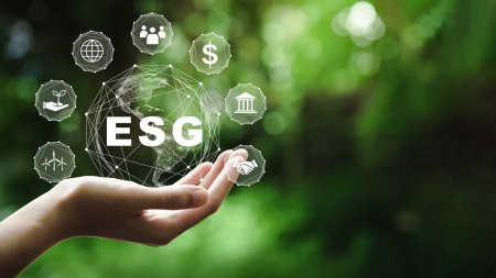 Внедрение принципов устойчивого развития (ESG)